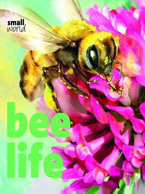 cover image of Bee Life